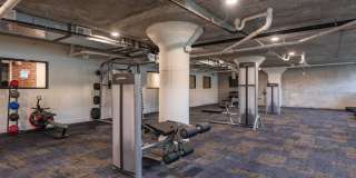 The Oliver The Oliver Gallery 11