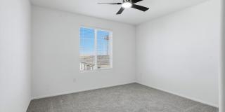 8667 Luxuriant Avenue Gallery 4