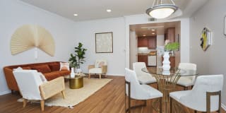 Beverly Arnaz Gallery 16