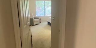 19609 N 98th Dr Gallery 15