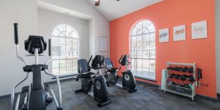 Pirates Landing Gallery 29