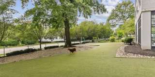 Presidential City Gallery 52