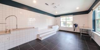 Alexan Harrison Apartments Gallery 91