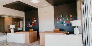 Tanager Tanager Gallery 48