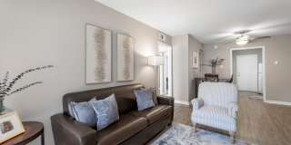 The Ivy Gallery 25