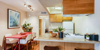 Scottsdale Gateway Gallery 5