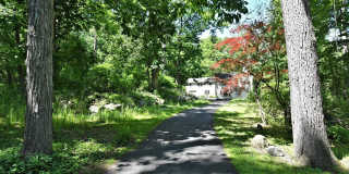 265-(3479) WINDY BUSH Road Gallery 1