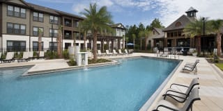 White Palm Gallery 15