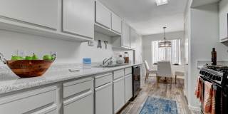 The Dresden Gallery 8