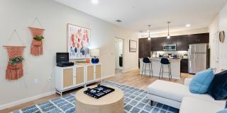 Citra at Windermere Gallery 34