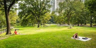 Longacre House Apartments Longacre House Apartments Gallery 39