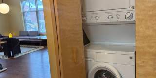 Settlement Place Gallery 167