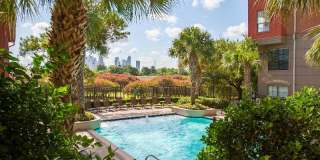 Jackson Hill Gallery 51