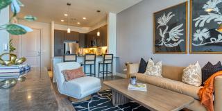 MAA Cathedral Arts MAA Cathedral Arts Gallery 38