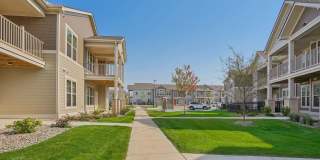 Springs at McKnight Lake Springs at McKnight Lake Gallery 30