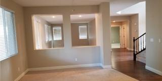 3412 LACEBARK PINE Street Gallery 10