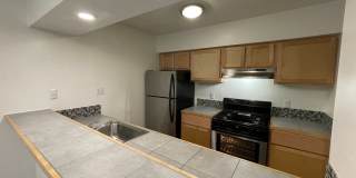 Penthouse Gallery 2