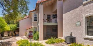6441 N Tierra De Las Catalinas Gallery 7