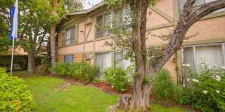 6736 Cleon Ave Gallery 25