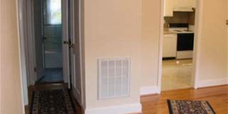 Salua Dr 2419 Gallery 4