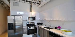 The Harrison Gallery 3