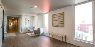 Hollis Oak Gallery 10