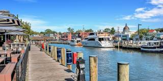 Annapolis Bay Gallery 69