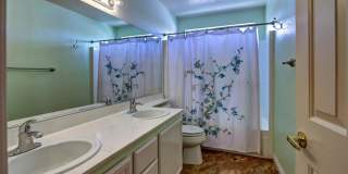 7545 Tumbling St - Highly Upgraded 3 Bed Home Gallery 15