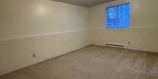 202 Prospectors Lane Gallery 4