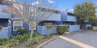 121 Piccadilly Pl Apt A Gallery 13