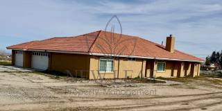 4290 Smoke Tree Road Gallery 1