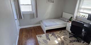 223 Ray Street Gallery 10