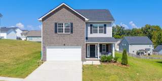 11317 Flame Willow Lane Gallery 1