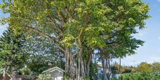 1511 S Palmway Gallery 32