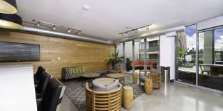 The Shay Gallery 18