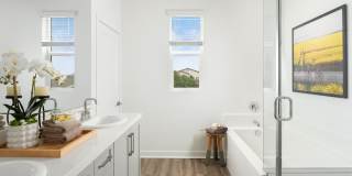 Homecoming at The Preserve Gallery 12