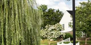 Chadwick Manor Gallery 40