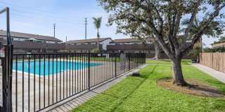 Newland Garden Gallery 12