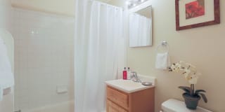 Avenue Apartments Gallery 14