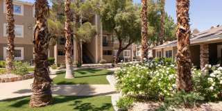 Amara Spring Valley Apartments Gallery 36