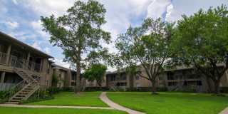 Pines of Woodforest Gallery 21