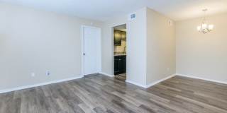 South Oaks Gallery 10