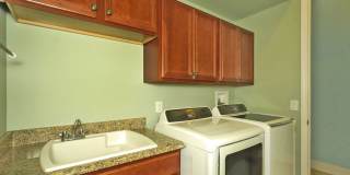 Walk to the ocean! Gallery 15