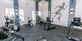Roswell Village Gallery 16