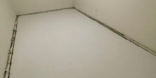 Spacious 3BD 2BA Gallery 16