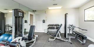 Solana Vista Gallery 14