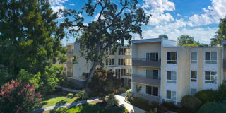 The Retreat Apartments Gallery 1