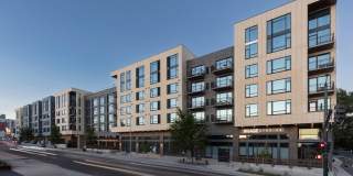 24Fifty 24Fifty Gallery 1