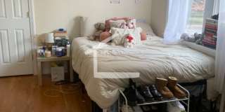 Nicely updated 3 bed near Coolidge Corner and BU! Gallery 15