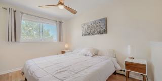 Charming Updated 3BR Gem | Great Boulder Access Gallery 19